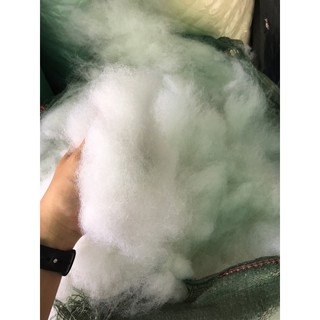 Bông Gòn Xơ , Gòn Tơi (2KG) - 2 loại- Nhồi thú bông, gối ,..