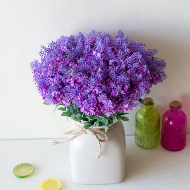 Hoa giả - Hoa lavender