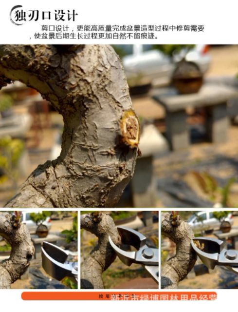 Cạp đa năng 2 công dụng cạp xéo bonsai kích thước 21cm