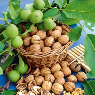 1kg quả óc chó nhập khẩu