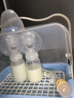 Ngũ cốc lợi sữa