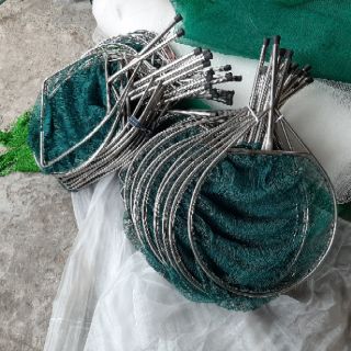 Vợt cá giống
