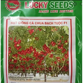 HẠT GIỐNG CÀ CHUA BẠCH TUỘC LEO GIÀN LUCKY GÓI 4H