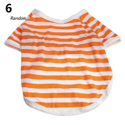 Áo thun mùa hè cho thú cưng