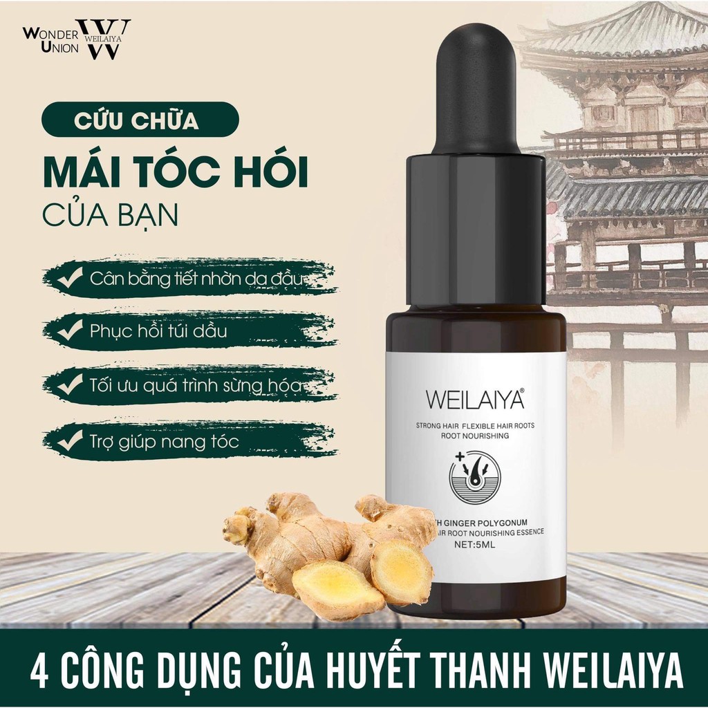 💚FREE SHIP💚( SIÊU SỐC ) Kích thích mọc Tóc Nhanh với Huyết thanh Serum Mọc Tóc Weilaiya Cam Kết Hiệu Quả Sau 12 Tuần | BigBuy360 - bigbuy360.vn