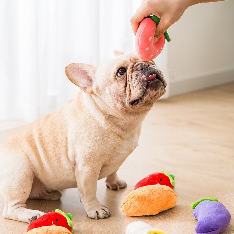 Gấu bông hình trái cây kêu bít bít cho chó mèo