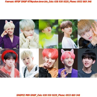 CARD IN FULL HOSHI SEVENTEEN (NHIỀU MẪU)