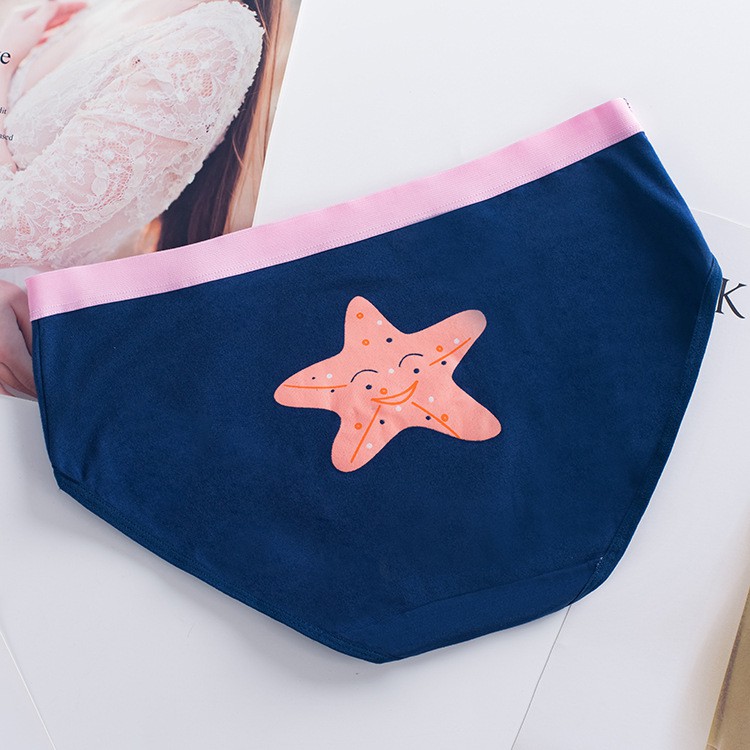 Set 5 quần lót đúc cotton siêu cute mềm mịn, thoáng mát CT-C5