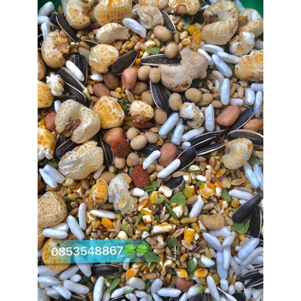 Thức ăn trộn cơ bản cho chuột Hamster, Sóc...