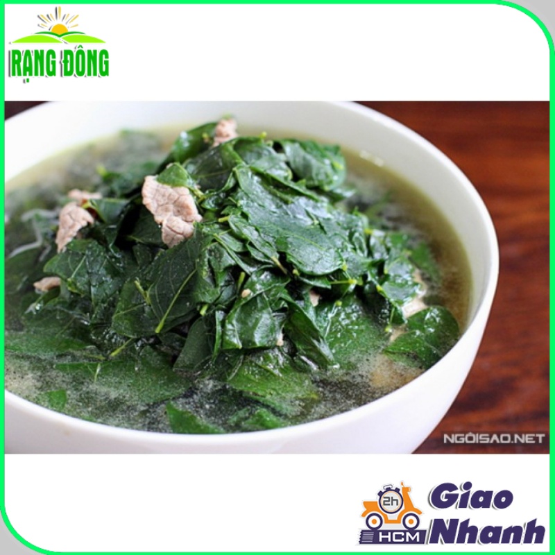 Hạt giống Rau Ngót (Rau Bồ Ngót) Trồng Quanh Năm, Sinh Trưởng Khỏe ( gói 1 gram) - Hạt giống Rạng Đông