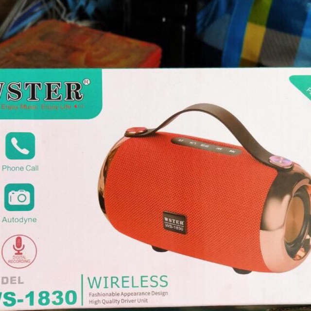 Loa Bluetooth cầm tay WS-1830