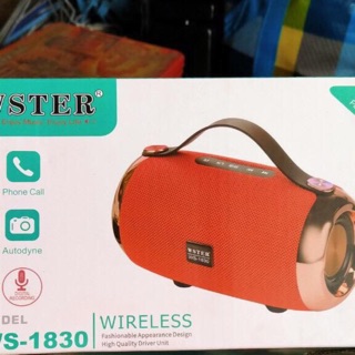 Loa bluetooth cầm tay ws-1830
