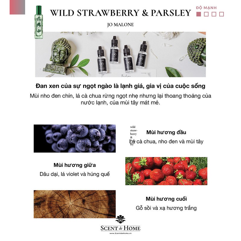 Nước hoa xe hơi cao cấp - Chai bổ sung - Refill mùi hương WILD STRAWBERRY &amp; PARSLEY - chai refill 15ml [XETHOM.VN]