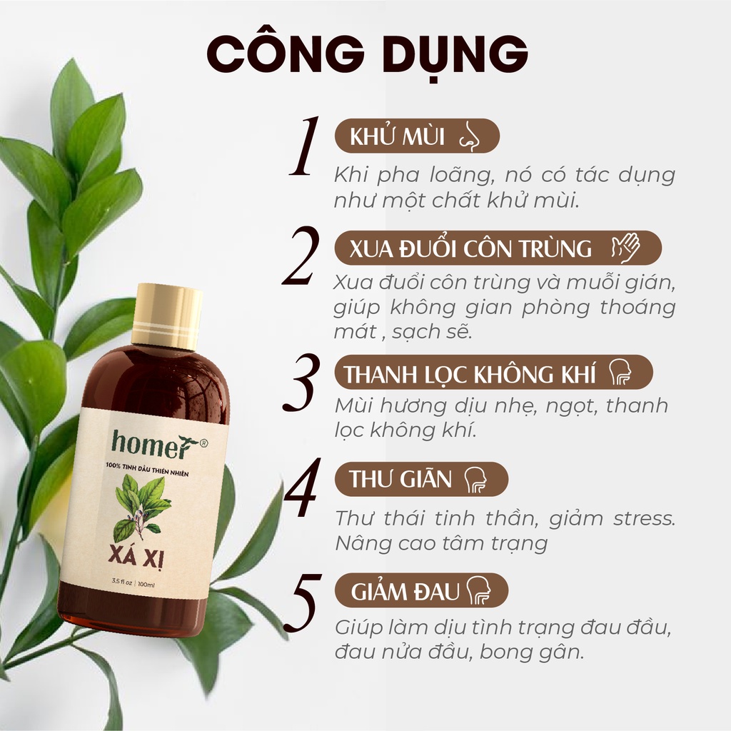 Tinh dầu Xá Xị Homer - Safrol Essential Oil - đạt chuẩn chất lượng kiểm định