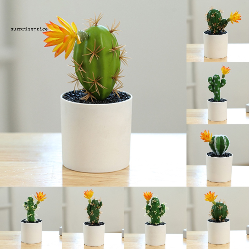 Chậu cây bonsai mini bằng nhựa không phai màu trang trí bàn