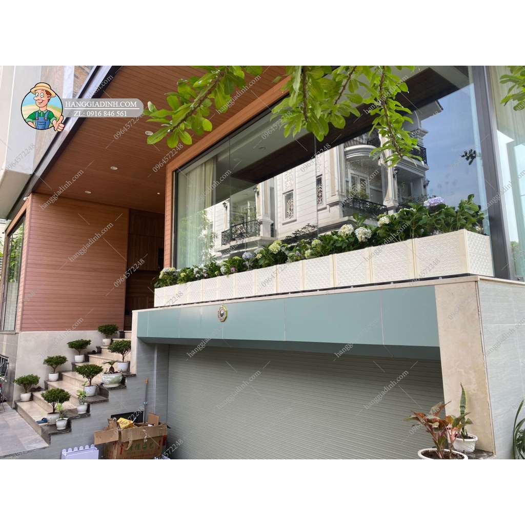 Chậu trồng hoa giấy cao 56cm mẫu đài loan cao cấp ĐL45x45x40cm