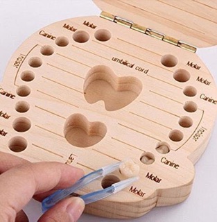 Hộp đựng răng sữa