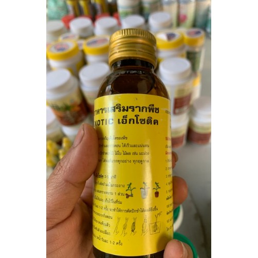 Dung dịch siêu kích rễ Thái Lan EXOTIC lọ 100ML