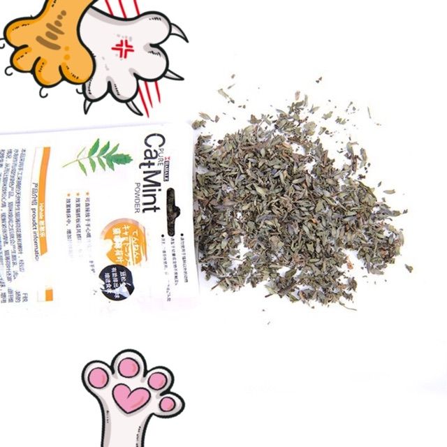 CỎ MÈO, CỎ BẠC HÀ GÓI 5G CHO MÈO