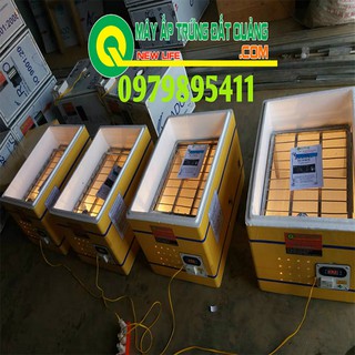 Máy ấp trứng X54 tự động tự ráp