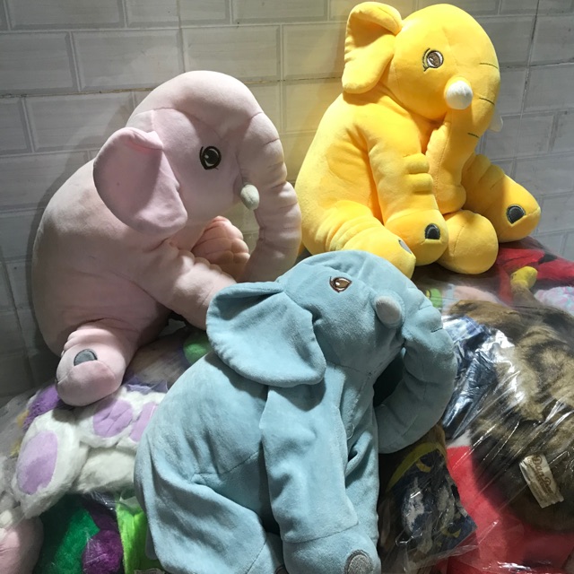 Gấu bông của Le Ho