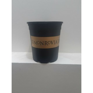 Chậu trồng cây Monrovia 1gl