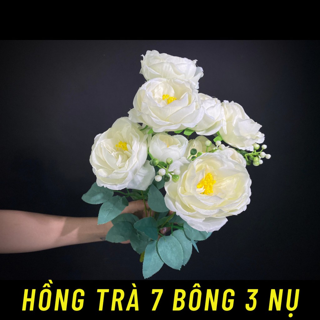 Hoa Hồng Trà 7 Bông 3 Nụ Cắm Cổng Cưới Trang Trí Độc Đáo ABSHOP COM VN