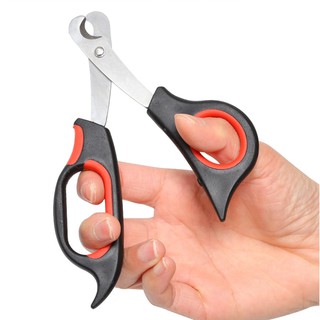 Kéo cắt móng chân cho chó mèo 15cm