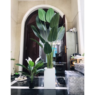 Cây chuối giả 2m