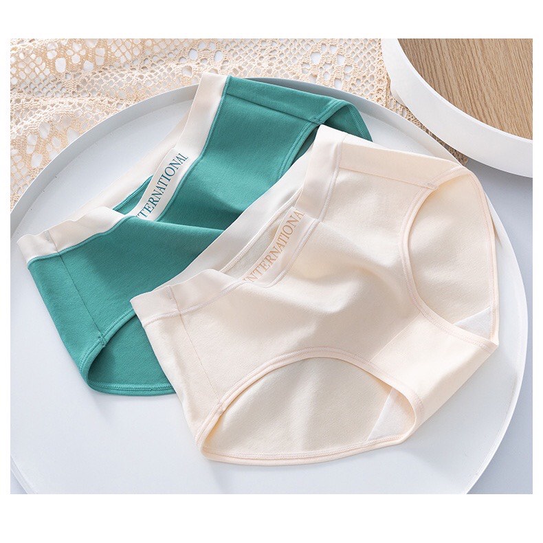 Quần Lót Nữ Cotton Cạp Su Chữ Kháng Khuẩn Cao Cấp 8858