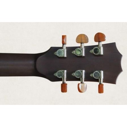 Acoustic Guitar Taylor Việt Nam D450 có EQ MET B12