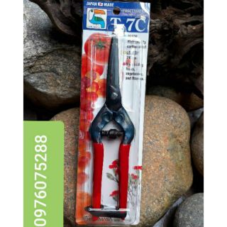 Kéo nhật tỉa dăm chikamasa - t7c