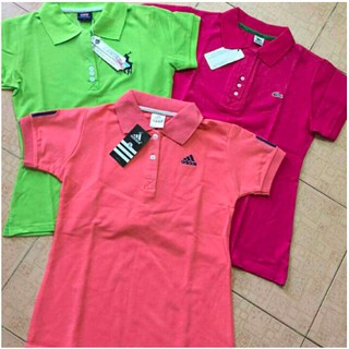 Combo 11 áo thun cá sấu, Adidas, Polo size M & L (tặng kèm 2 áo)