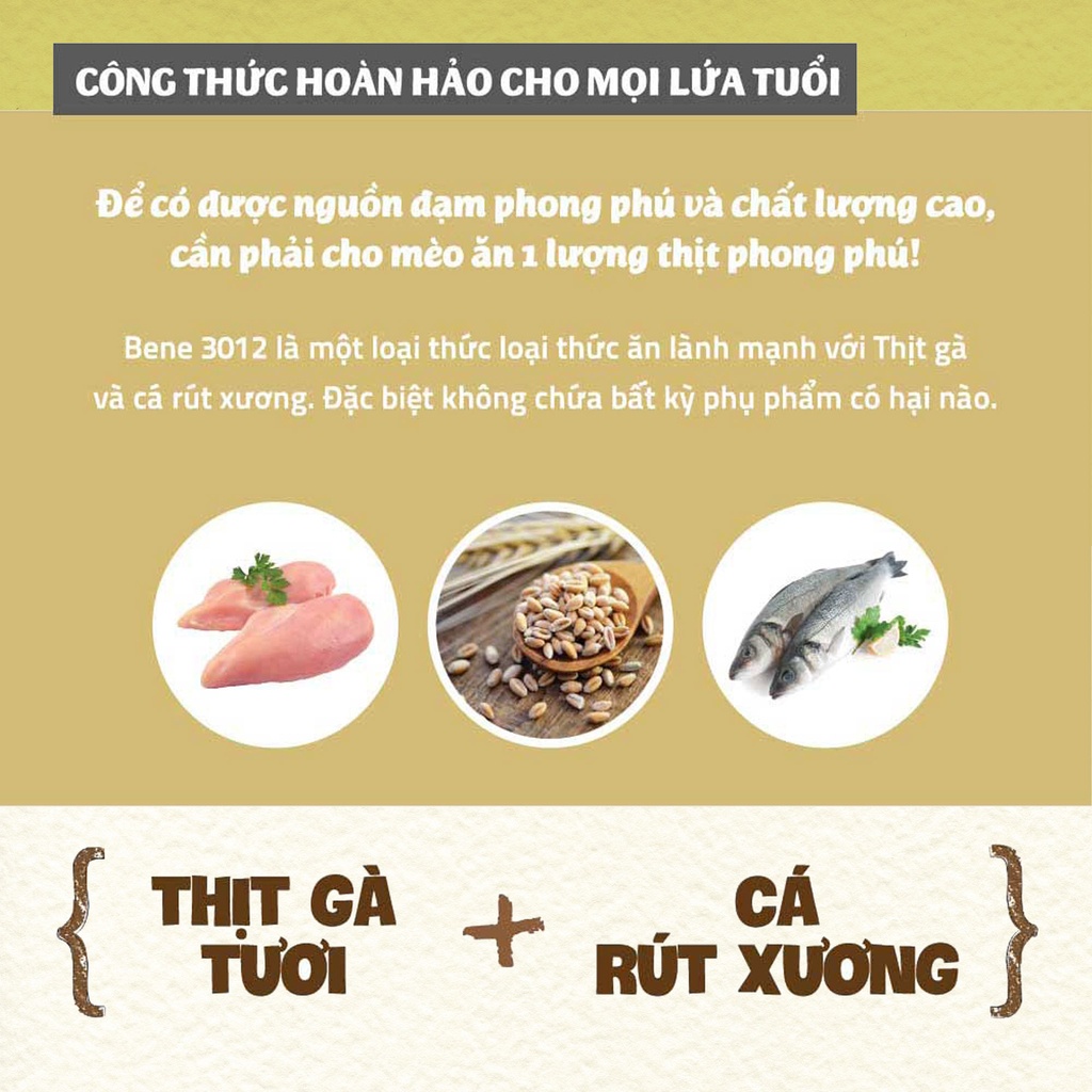 [500gr] hạt Natural Core C3 Bene 3012 vị Thịt Gà &amp; Cá Hồi cho mèo mọi giai đoạn tuổi