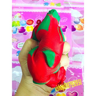 SQUISHY QUẢ THANH LONG