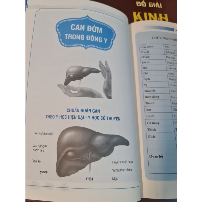 Sách - Điều Trị Tạng Phủ Theo Đông Y