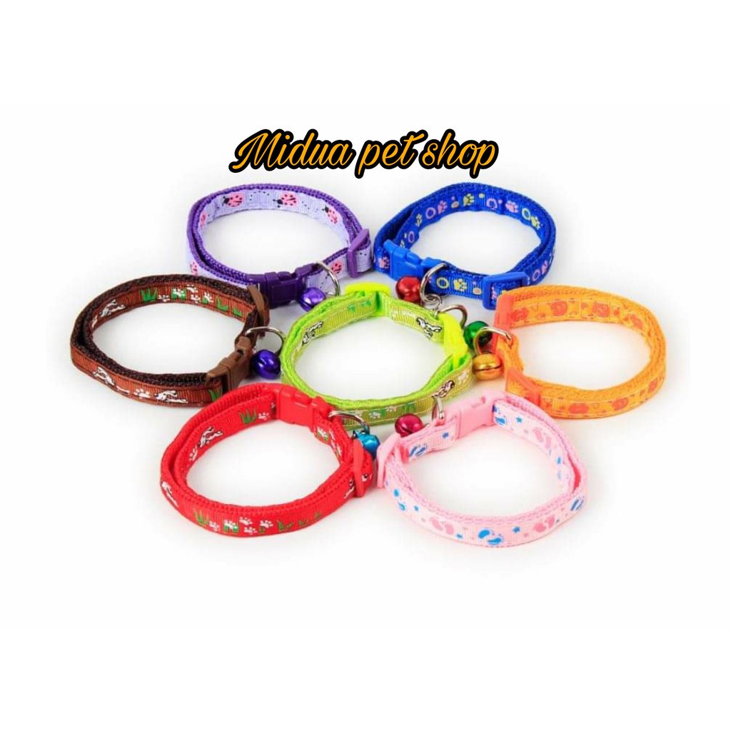 Vòng cổ cho chó mèo dưới 10kg