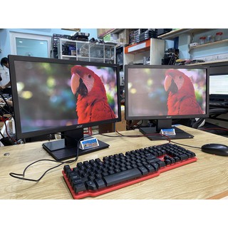 Màn hình máy tính 19 inch, 19 inch Acer V196HQL, 19 inch HP W1972a