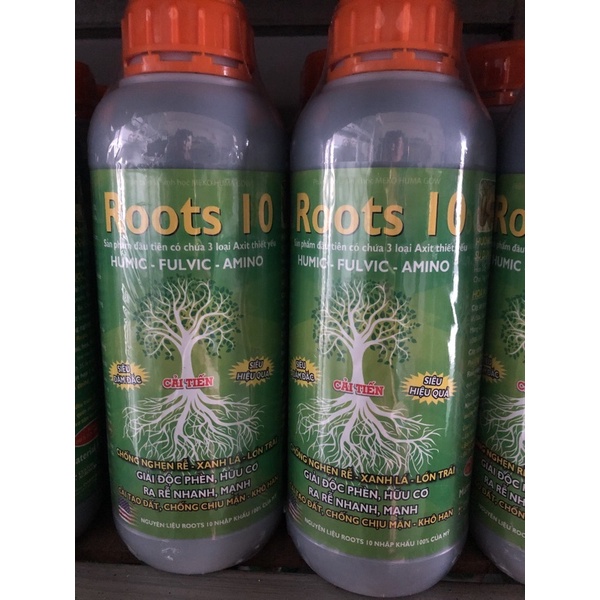 ROOTS 10 - VUA RA RỄ, CẢI TẠO ĐẤT