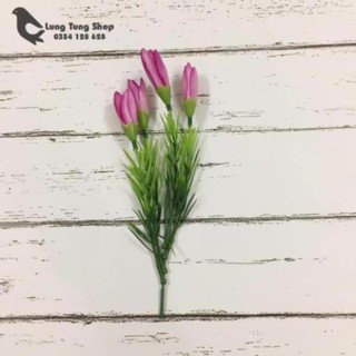Hoa tulip hồng đạo cụ chụp hình - phụ kiện chụp hình sản phẩm