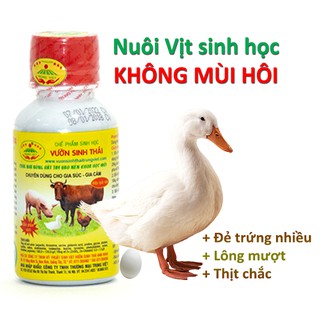 Chế phẩm sinh học VƯỜN SINH THÁI nuôi Vịt - Không mùi hôi