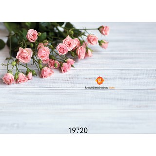 Phông nền 3D chụp ảnh sản phẩm 19720