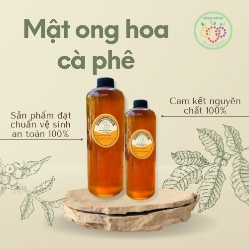 Mật ong  nguyên chất hoa cà phê Đặc sản Tây Nguyên True Nuts - nguyên chất 100% bao test