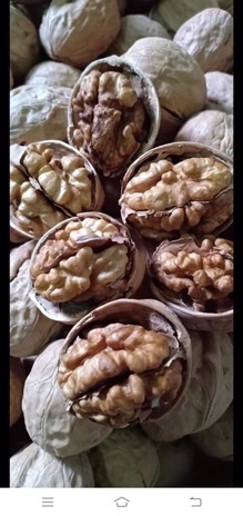 Nhân quả óc chó ( khách đặt mới bóc) 500gr