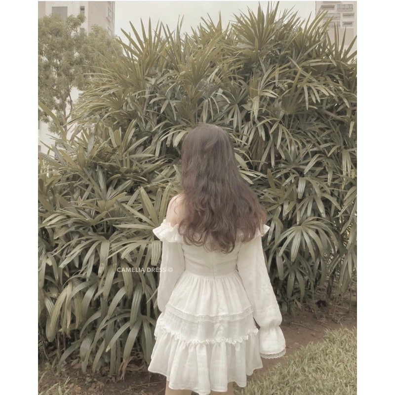 ĐẦM BÈO NHÍU NGỰC TRẮNG