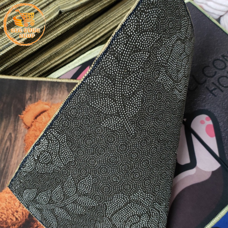 Thảm Lau Chân Hình Thú Cưng 3D Chống Trượt - Thảm Chùi Chân Chữ Nhật Kích Thước 40X60CM  - Thấm Hút Nước Nhiều Mẫu Đẹp