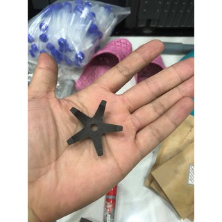 Đồ chơi tép cá - Ngôi sao nhỏ