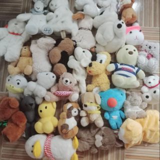 Gấu cua chị ốc biển