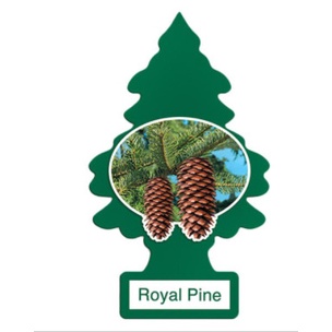 CÂY THÔNG THƠM LITTLE TREES (HÀNG MỸ CHÍNH HÃNG)