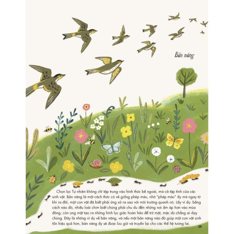 Sách - Nguồn Gốc Các Loài - NXB Kim Đồng